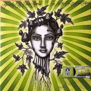 Sounds Of New Soma - Live At The Green Mushroom Festival