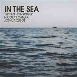 Tristan Honsinger / Nicolas Caloia / Joshua Zubot - In The Sea
