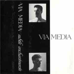 Via Media - Subtle Enchantments
