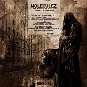 Moleculez ft. Mental Wreckage & The Relic - Calling The Shadows