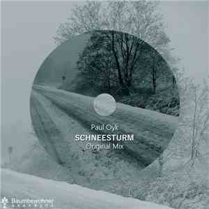 Paul Oyk - Schneesturm (Original Mix)