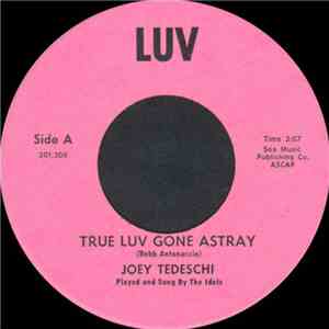 The Idols  - True Luv Gone Astray / Haunted House