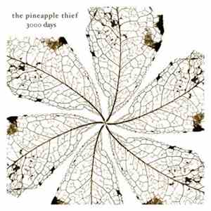 The Pineapple Thief - 3000 Days