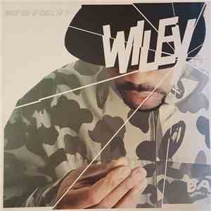 Wiley  - Wot Do U Call It ?