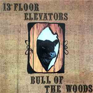 13th Floor Elevators - Bull Of The Woods
