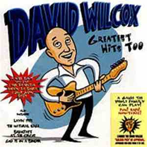 David Wilcox  - Greatest Hits Too