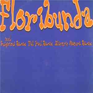 Mother's Pride - Floribunda
