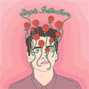 SNEEK  - Simple Instructions