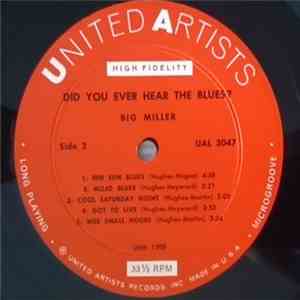 Big Miller - Did You Ever Hear The Blues?