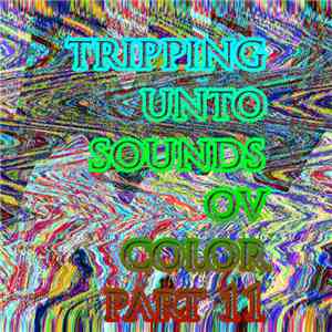 DNI / MFA / MBUF / NP / Skullnbones / Iatemyself / N0123Noise - Tripping Unto Sounds Ov Color Part 11