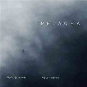 Pelacha - Valores