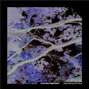December Nightskies - Angel Among The Stars