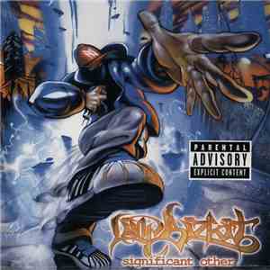 Limp Bizkit - Significant Other