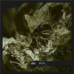 Sei2ure - Noise Pollution