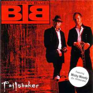 Brothers In Blues - Tailshaker