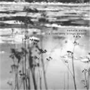 Dakota Suite - This River Only Brings Poison