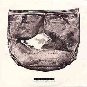 David Sylvian - Let The Happiness In