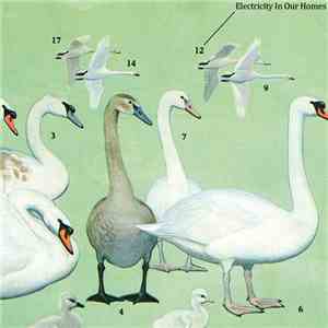 Electricity In Our Homes - We Thought It Was But It Wasn't / After Many A Summer Dies The Swan