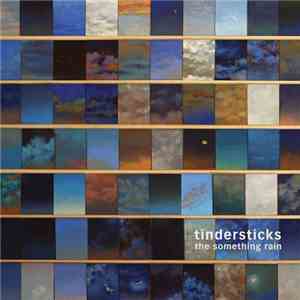 Tindersticks - The Something Rain