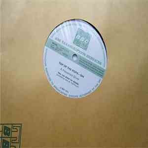 Various - Top Of The Pops-504