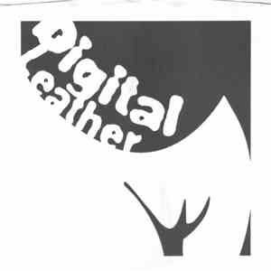 Digital Leather - She Had A Cameltoe