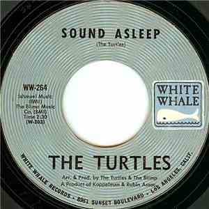 The Turtles - Sound Asleep
