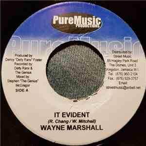 Wayne Marshall / Jagwa - It Evident / A Murder