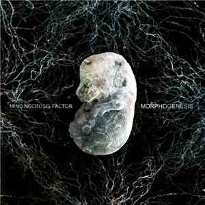 Mind Necrosis Factor - Morphogenesis
