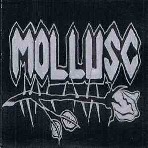Mollusc - Mollusc