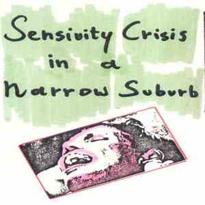 Nico de Haan - Sensivity Crisis In A Narrow Suburb