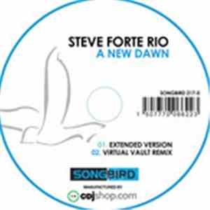 Steve Forte Rio - A New Dawn