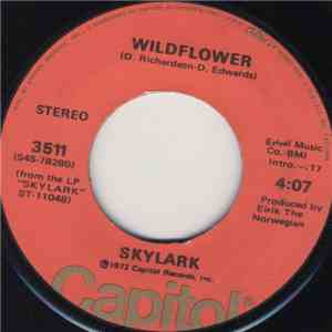 Skylark  - Wildflower