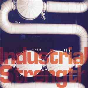 Various - Industrial Strength
