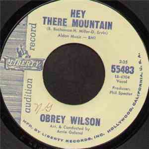 Obrey Wilson - Hey There Mountain / Say It Again