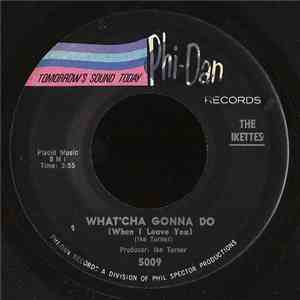 The Ikettes - What'cha Gonna Do (When I Leave You)