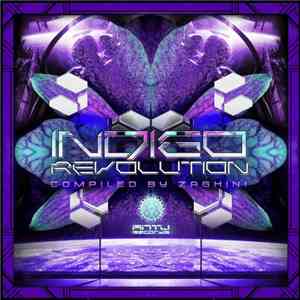 Zaghini - Indigo Revolution
