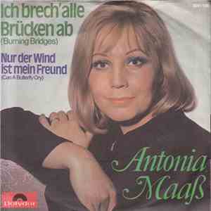 Antonia Maaß - Ich Brech' Alle Brücken Ab (Burning Bridges)