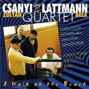 Csanyi Lattmann Quartet - A Walk On The Beach