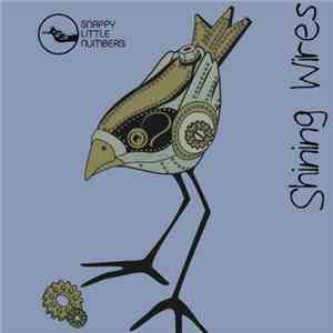 Shining Wires - Double Cassingle
