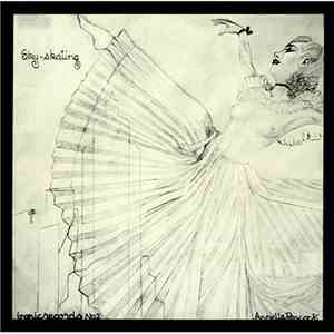 Annette Peacock - Sky-skating