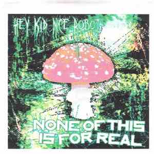 Hey Kid Nice Robot - None Of This Is For Real