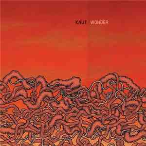 Knut - Wonder