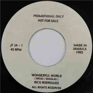 Rico Rodrigues - Wonderful World