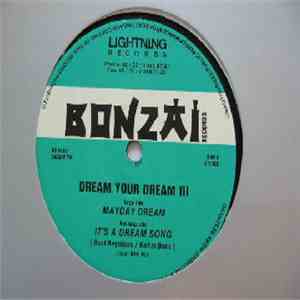 Dream Your Dream - III