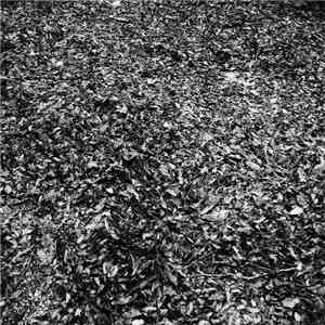 Flittering - Flittering