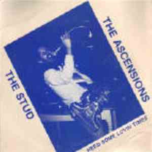 The Ascensions - The Stud