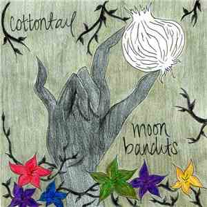 Cottontail  & Moon Bandits - Split