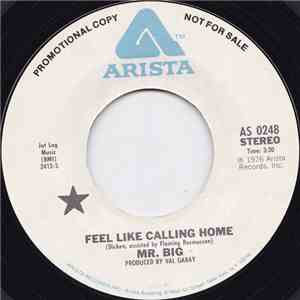 Mr Big - Feel Like Calling Home