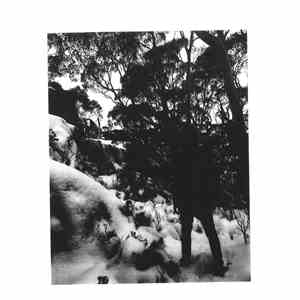 Various - Tasmania II