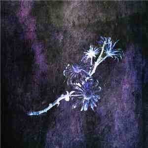 Michiru Aoyama - 「Winter Light」